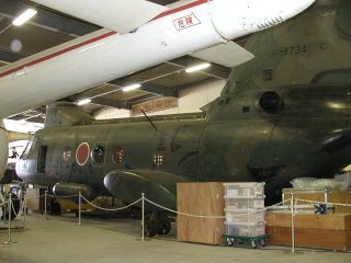 p5030036