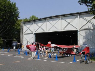 p5030039