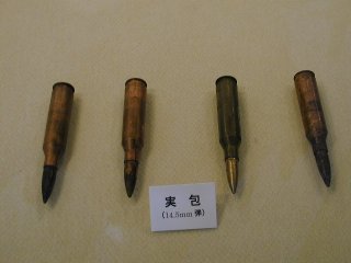 p6070082
