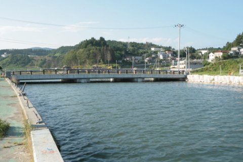 nՒ̌