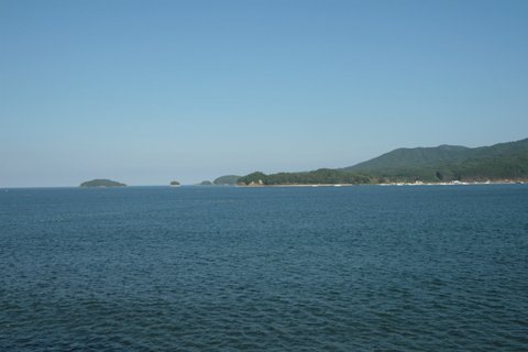v킹i