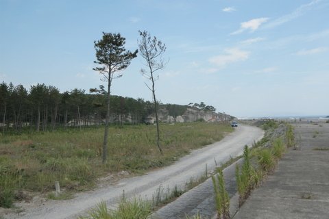 sVRt