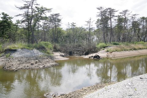 Ȃ荓